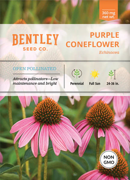 Purple Coneflower Echinacea Seed Packets