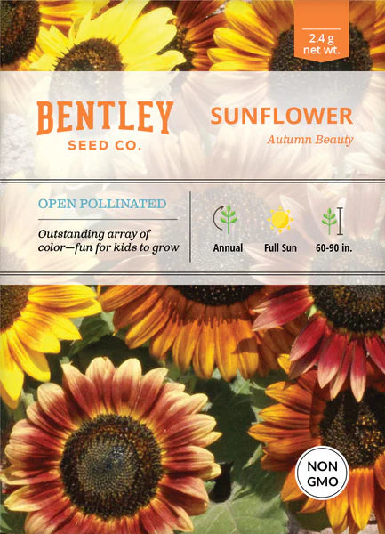 Sunflower Autumn Beauty Seed Packets