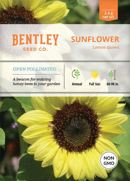 Sunflower Lemon Queen Seed Packets