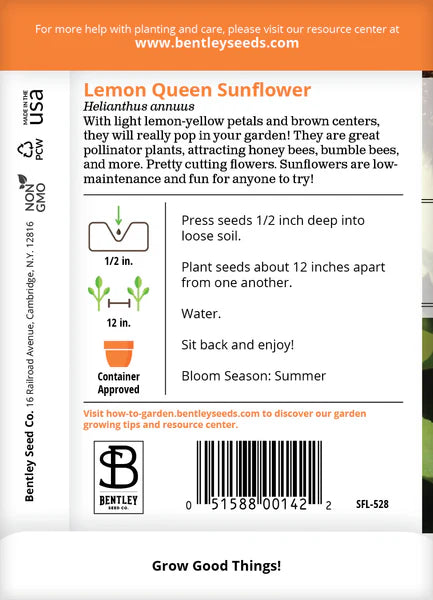 Sunflower Lemon Queen Seed Packets