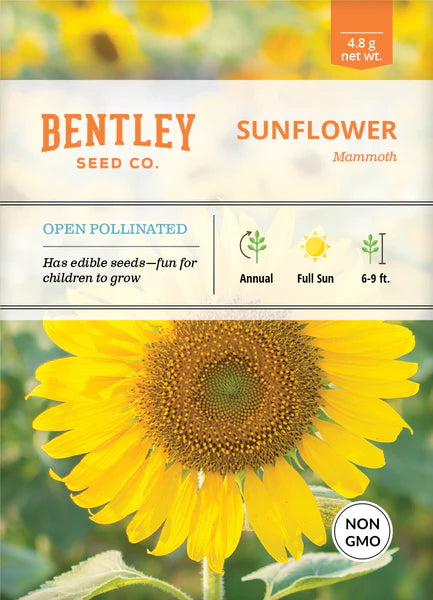 Sunflower Mammoth Seed Packet