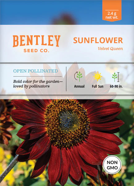 Sunflower Velvet Queen Seed Packets