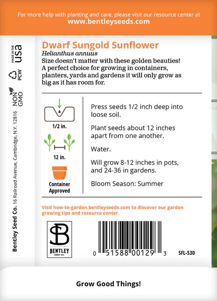 Sunflower Dwarf Sungold Seed Packets