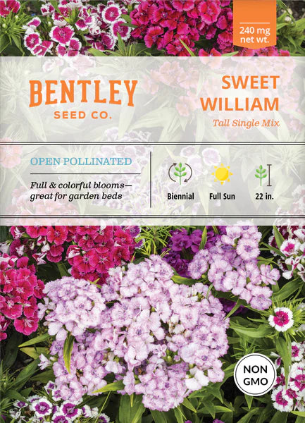 Sweet William- Tall Single Mix Seed Packets