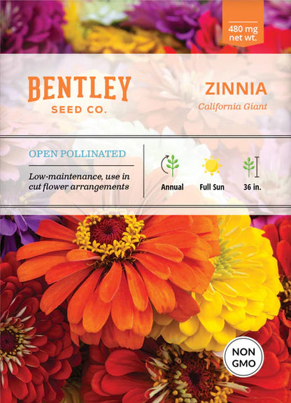 Zinnia California Giant Mixed Seed Packets