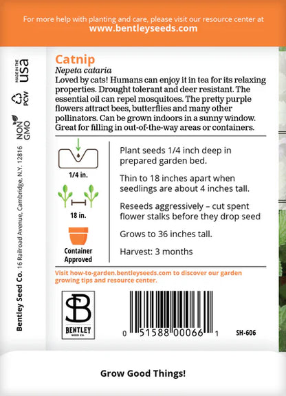 Catnip Seed Packets