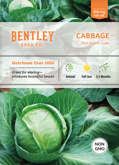 Cabbage- Late Flat Dutch Seed Packets