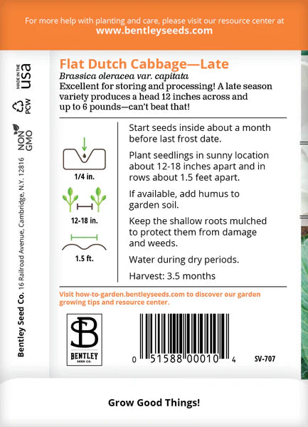 Cabbage- Late Flat Dutch Seed Packets