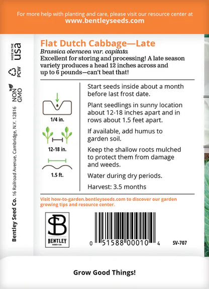 Cabbage- Late Flat Dutch Seed Packets