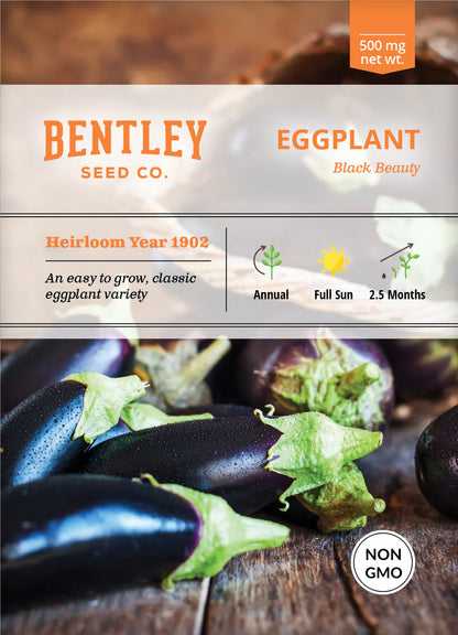 Egg Plant- Black Beauty Seeds