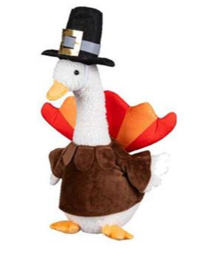 Porche Goose Outfit - Thanksgiving