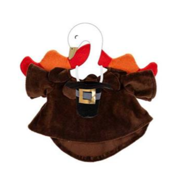 Porche Goose Outfit - Thanksgiving