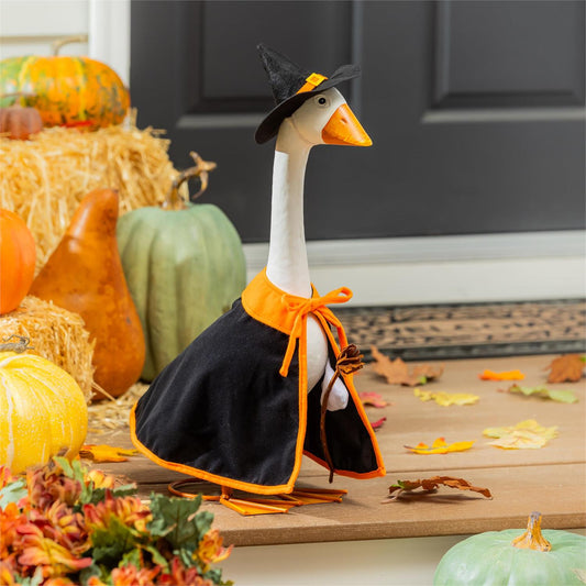 Porch Goose Outfit - Witch