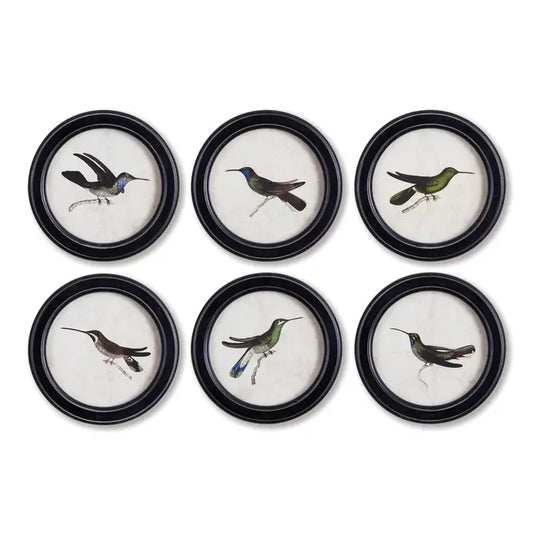 Hummingbird Round Wall Art Petite Prints