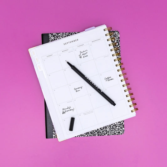 Felt Tip Fine Line Pastel Marker Pens with Case - 12 Pack