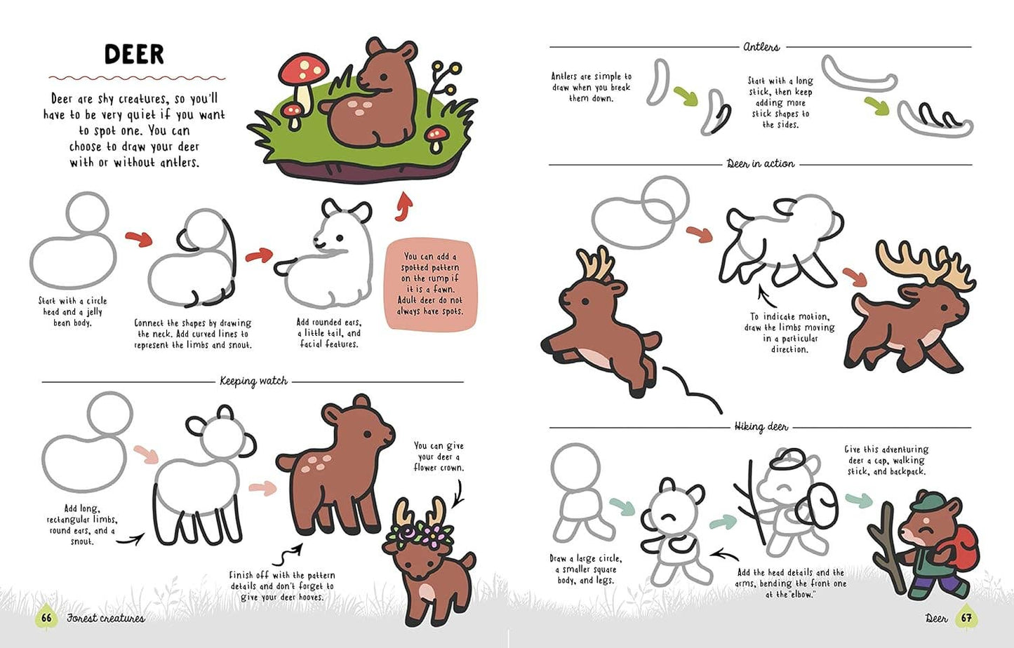 How to Draw Cute Woodland Friends