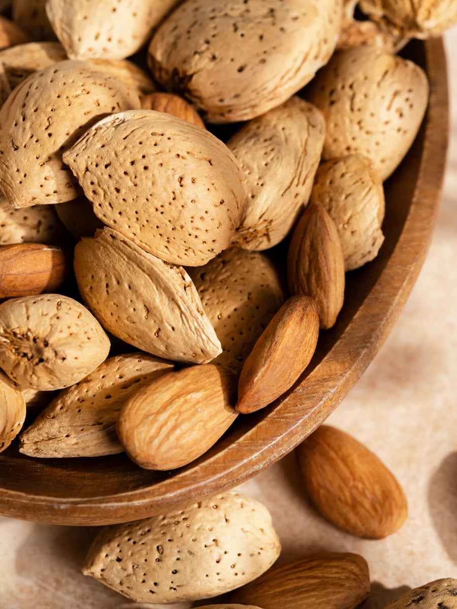 Pura - Cocoa Almond Refill