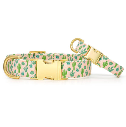 The Foggy Dog Desert Cactus Dog Collar