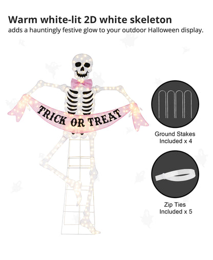 Lighted Skeleton Halloween Outdoor Decor
