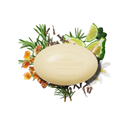 Caswell-Massey Number Six Bar Soap