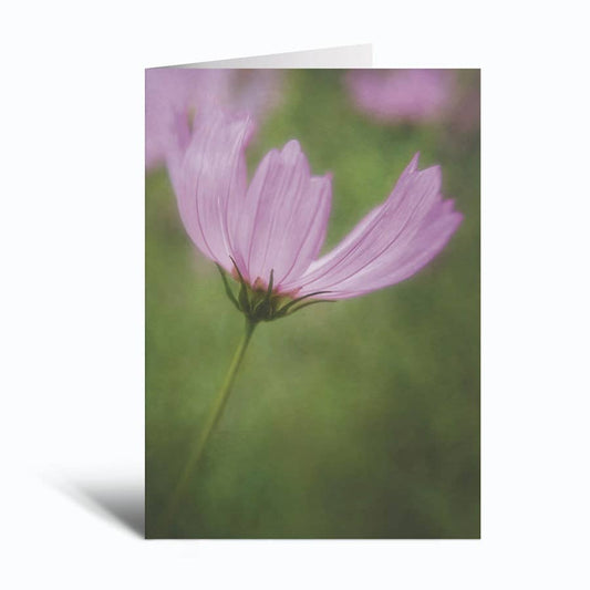 "Flutter On" Single Blank Note Card