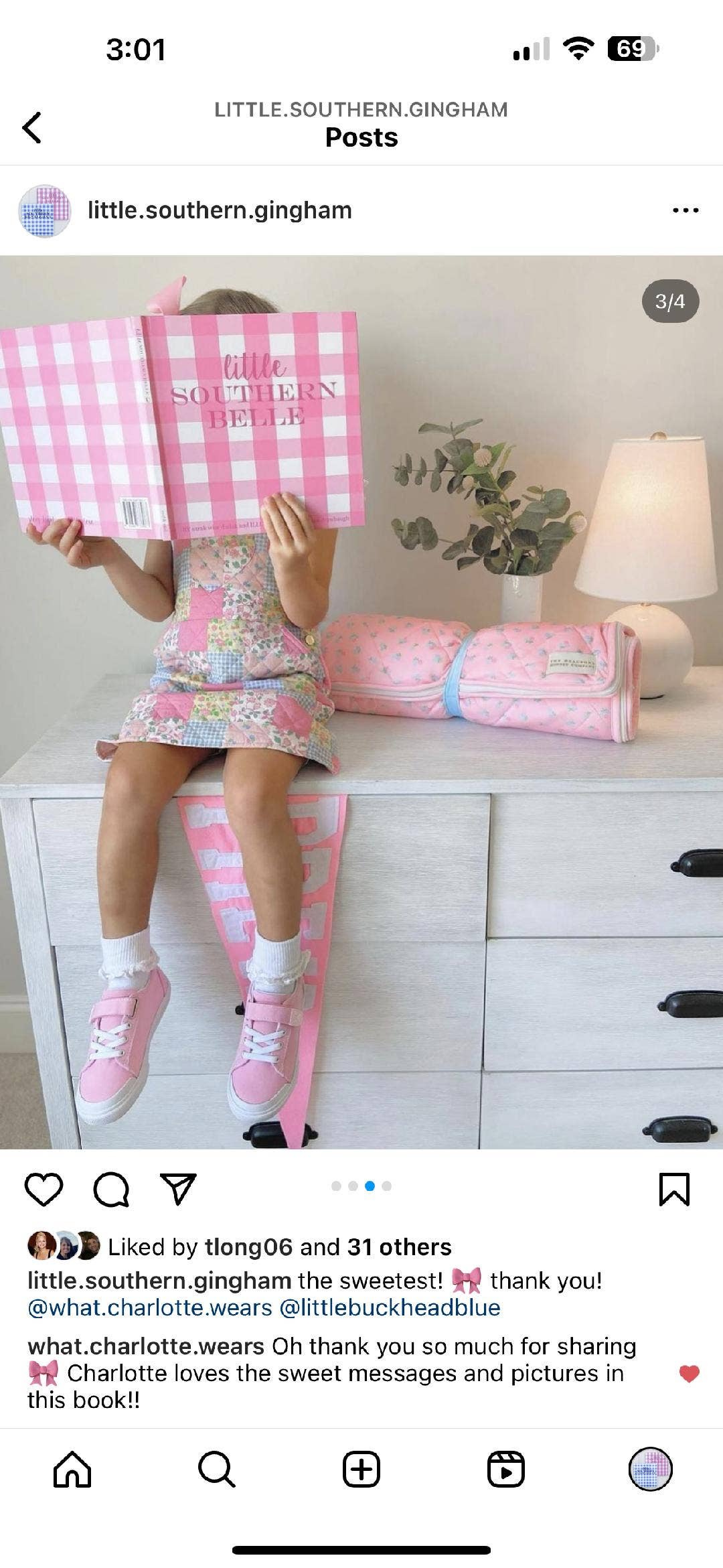 Children's Book: Little Southern Belle