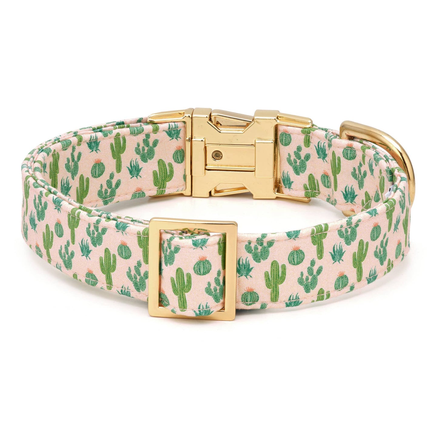 The Foggy Dog Desert Cactus Dog Collar