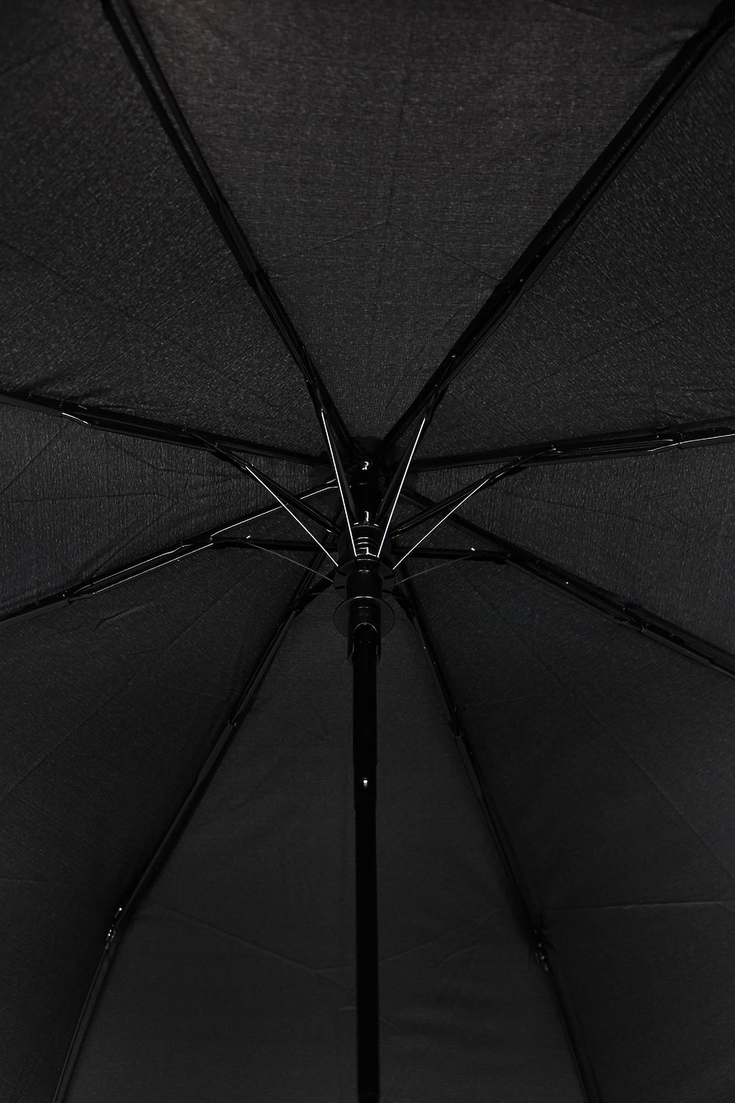 Black Auto Open Compact Umbrella