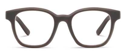 Peepers Zinnia - Coffee