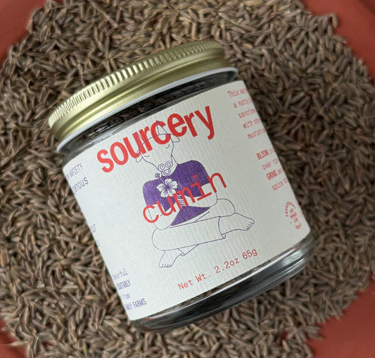 Sourcery Seasonings- Cumin