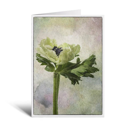 "Pastel Anemone" Blank Note Card