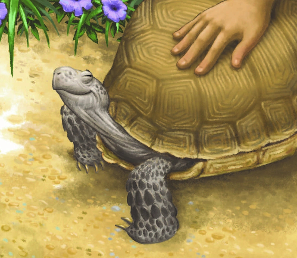 Childrens Book: Memoirs of A Tortoise