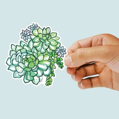 Amanda Klein Co. Succulent Vinyl Decal Sticker