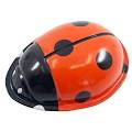 Click Clack Ladybug