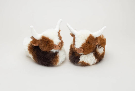 Texas Longhorn Baby Slippers + Gift Box