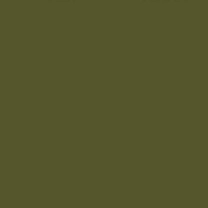 Unscented 10" Taper Candles Set of 2 - Olive