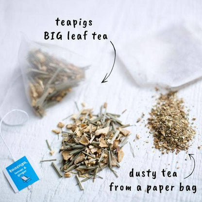 teapigs - Lemon & Ginger Tea
