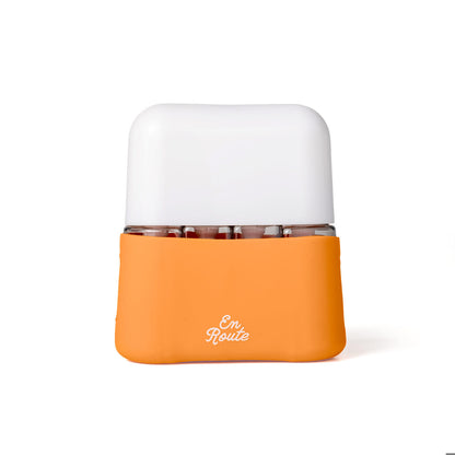 Bon Voyage 4 Piece Travel Bottles