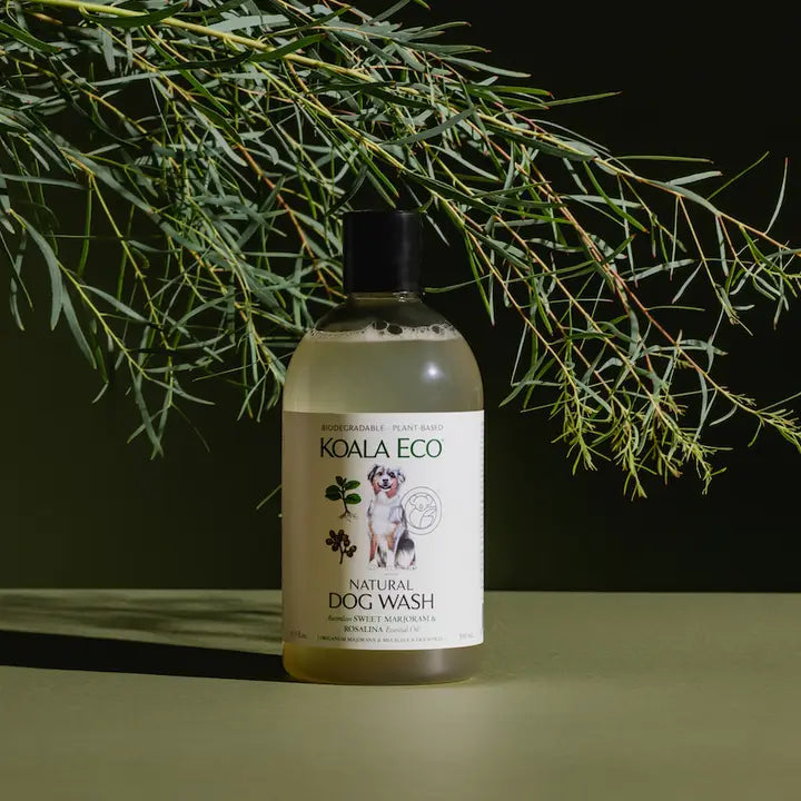 Dog Shampoo Koala Eco Sweet Marjoram & Rosalina with Essential Oils