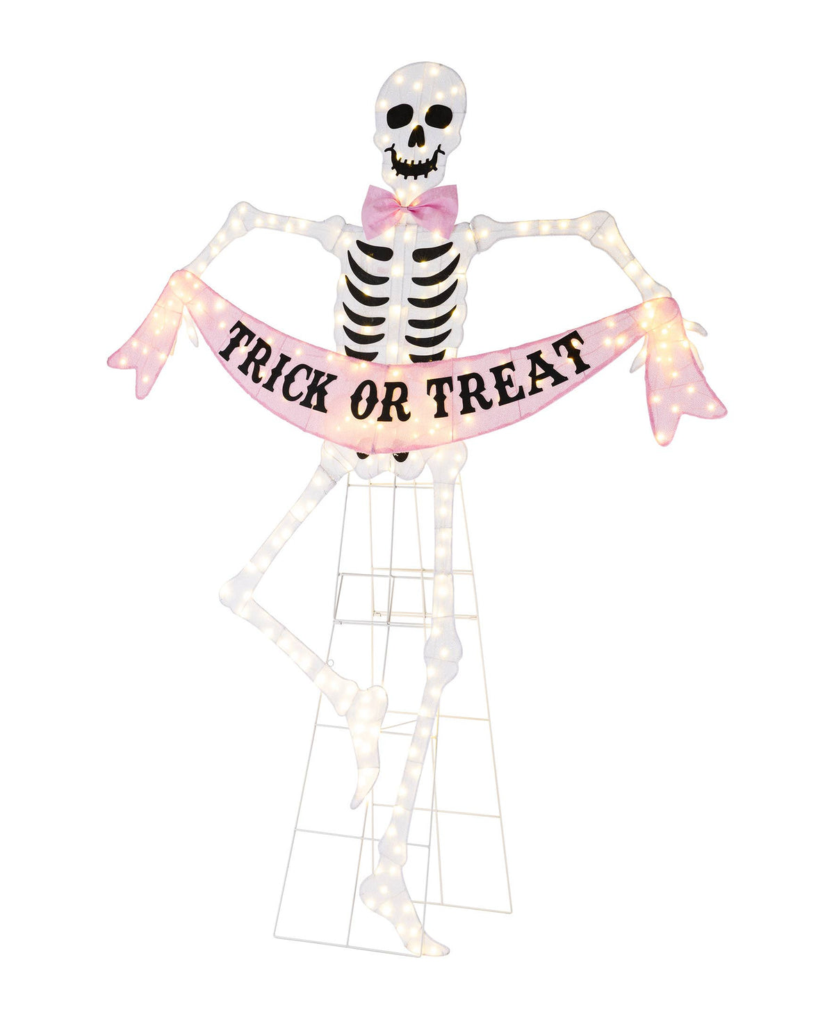 Lighted Skeleton Halloween Outdoor Decor