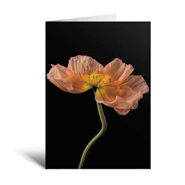 "The Curtsy" Blank Note Card