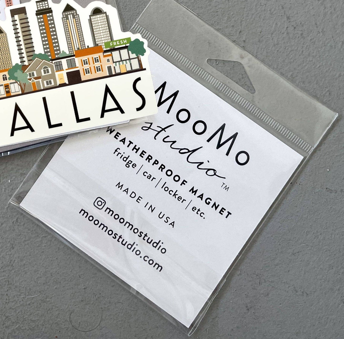 Dallas Cityscape Magnet