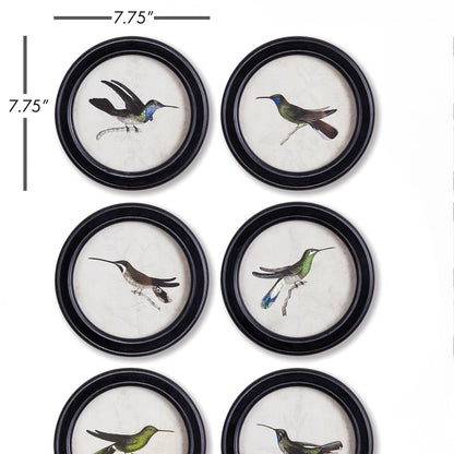 Hummingbird Round Wall Art Petite Prints