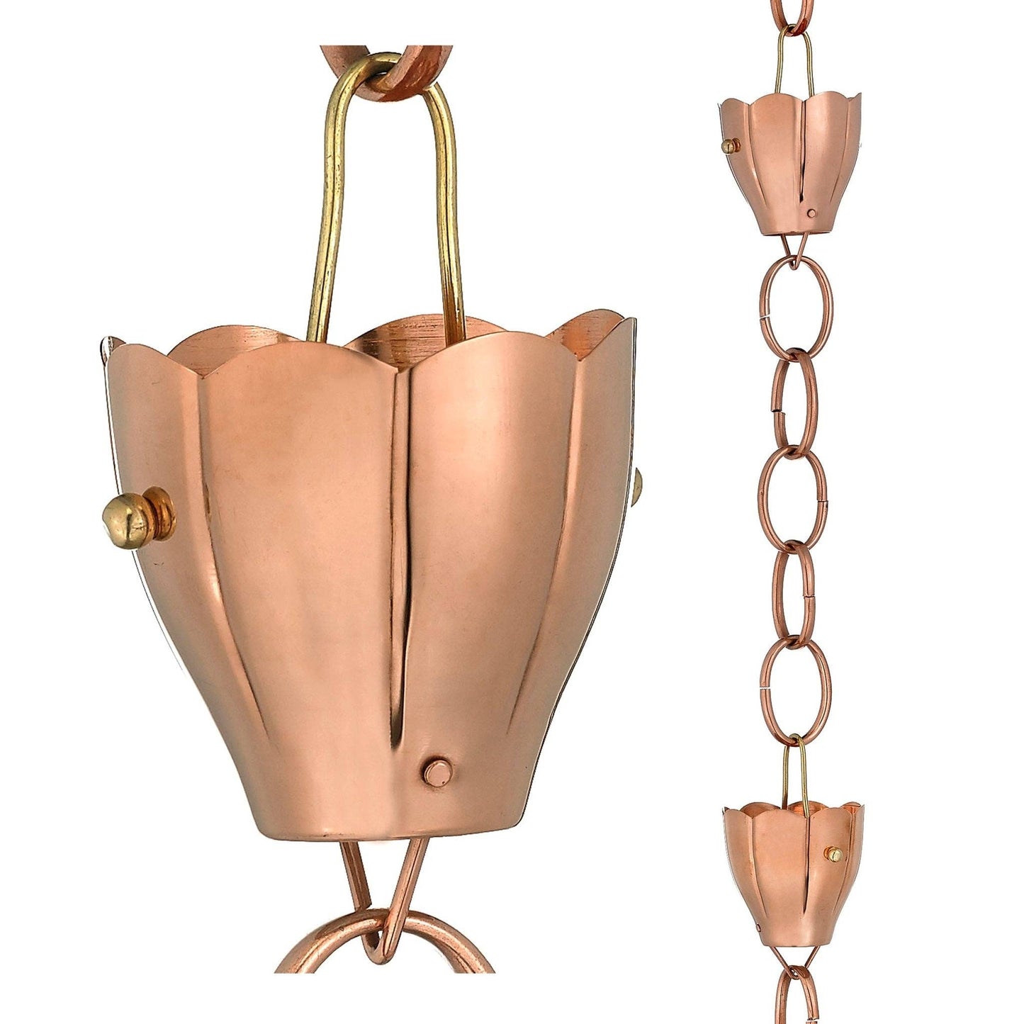 Crocus Rain Chain