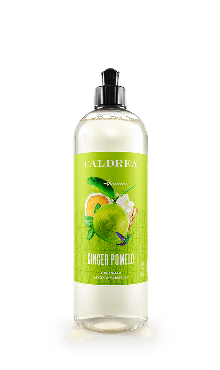 Caldrea Ginger Pomelo Dish Soap with Aloe & Ginger - Thumbnail 5