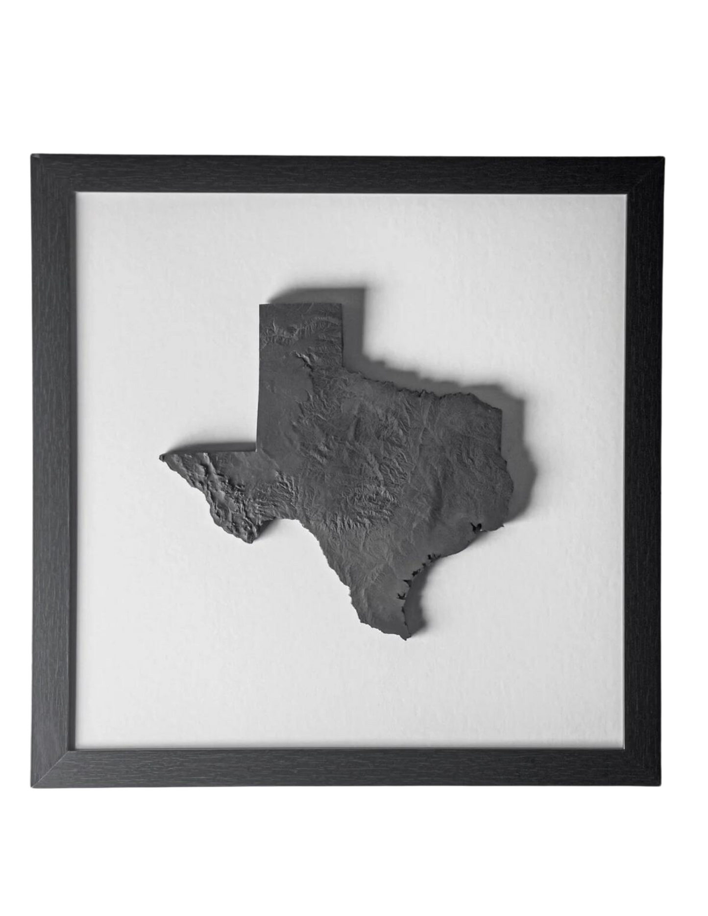 Texas Topographical Map