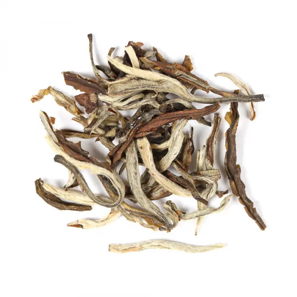 Jasmine Snow Bud Octavia Herbal Organic Green Tea