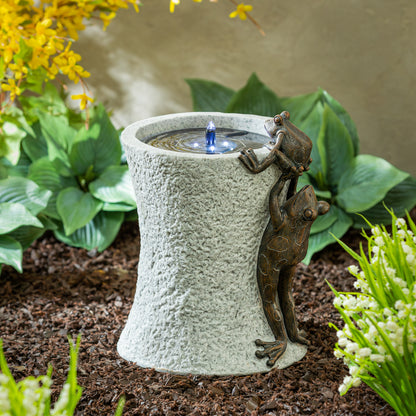 Climbing Frog Weather Resistant Solar Garden Fountain