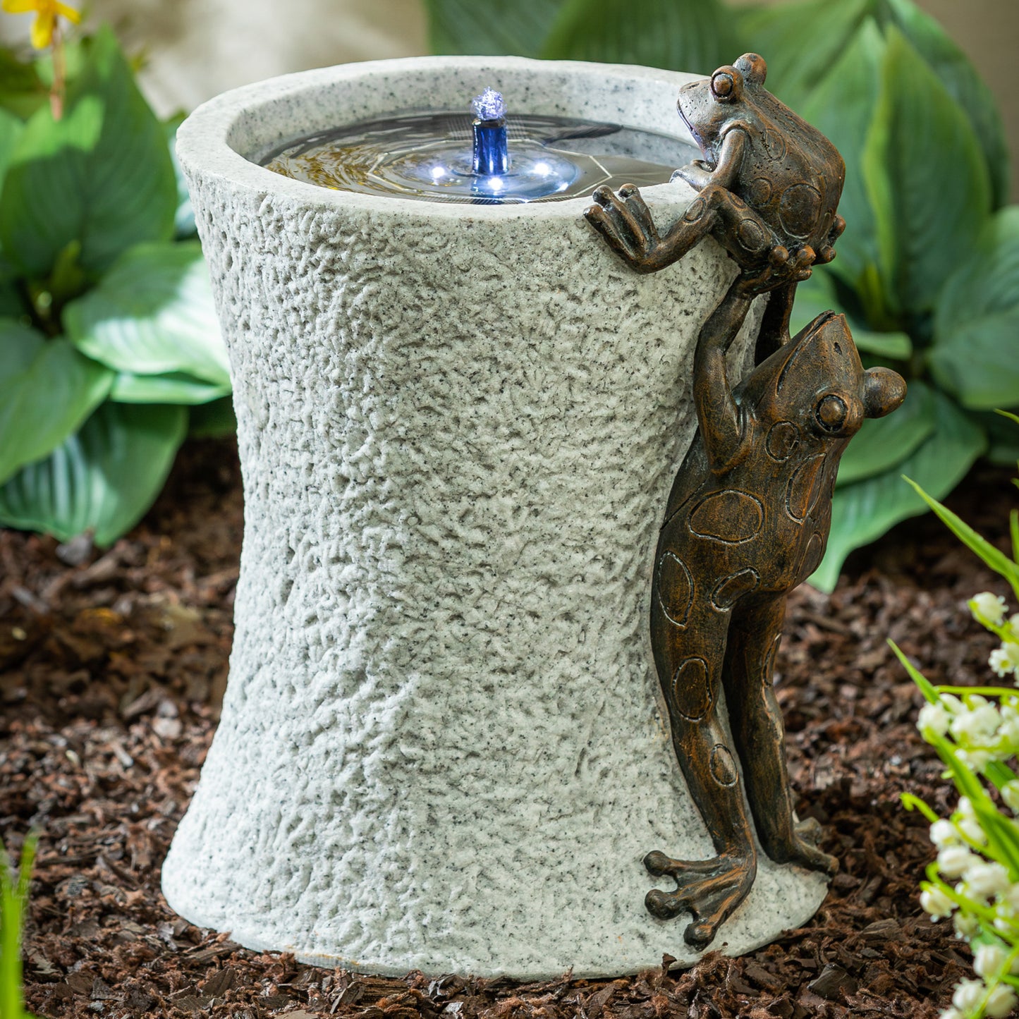 Climbing Frog Weather Resistant Solar Garden Fountain