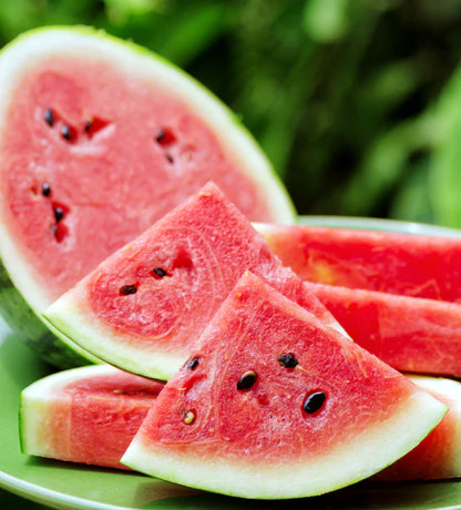 Watermelon- Crimson Sweet Seed Packets